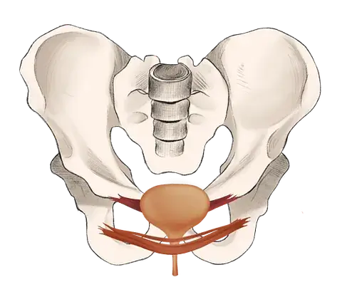 Beckenboden vor der Behandlung